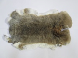 Hare Rabbit Fur Skin